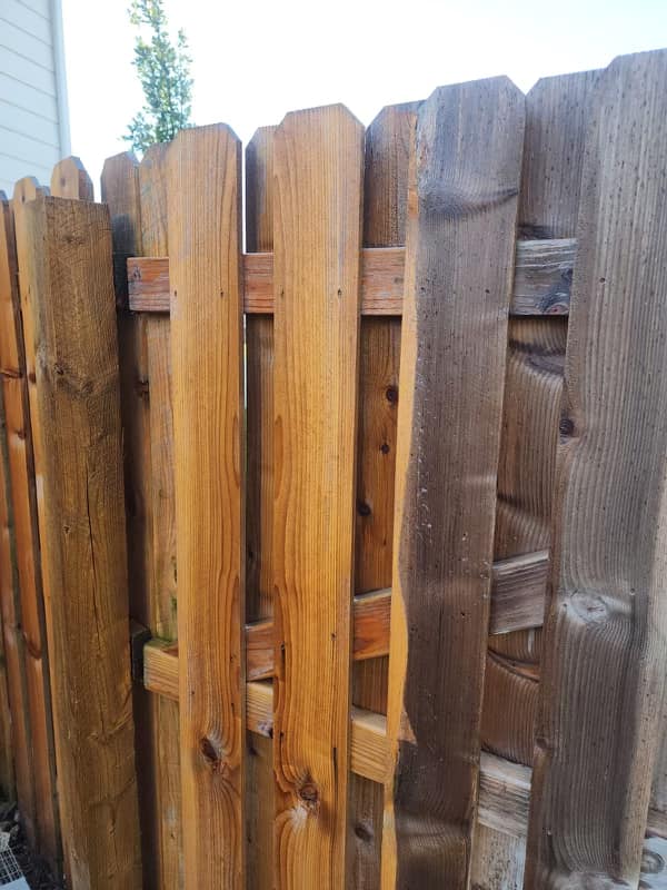 Lobo All-in-One LLC Logo